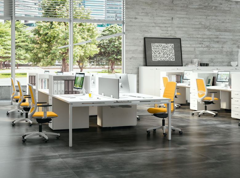 Lorem ipsum dolor sit